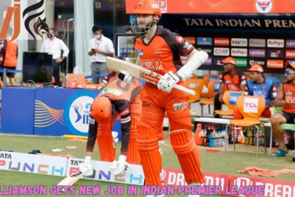 Williamson Gets New Job In Indian Premier League 