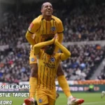Chelsea in Possible Plans to Get Newcastle Target Joao Pedro