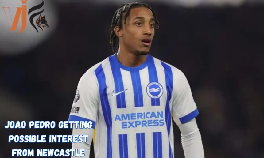 Joao Pedro Getting Possible Interest from Newcastle