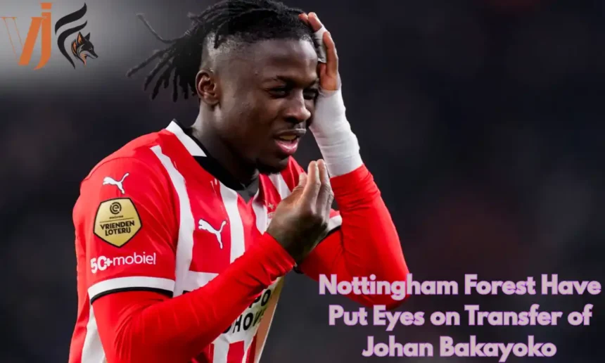 Nottingham Forest Have Put Eyes on Transfer of Johan Bakayoko